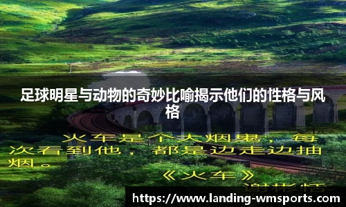 足球明星与动物的奇妙比喻揭示他们的性格与风格